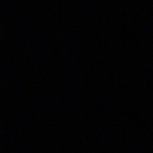 Meet your Posher, Darryl